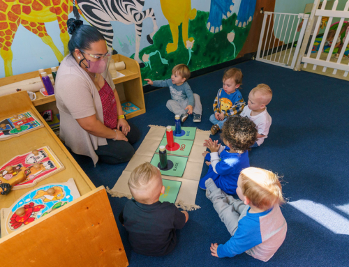 Toddler Care Program